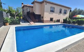The Dream Holiday House